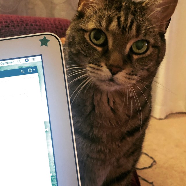 C42CE54F-18E6-47AF-BE57-29667053A5C0